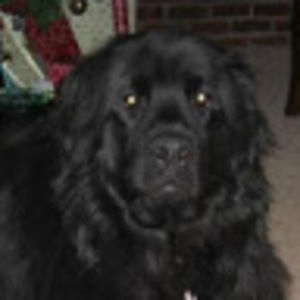 Meet your Posher, Kathryn